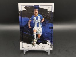 Alexis Mac Allister /25 - Panini Immaculate Brighton