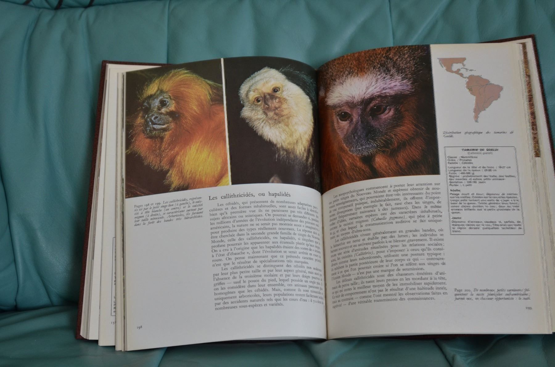 Libri: Buchserie LA FAUNE – Usato da Magden venduto da Estimbo 2