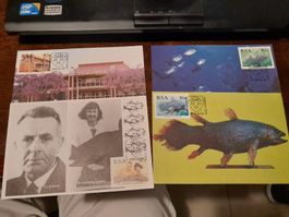 Superbe Collection de Timbres RSA - Afrique du Sud!