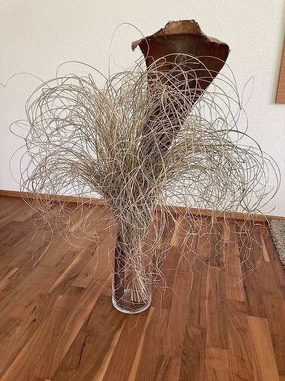 Tutte le decorazioni: Deko-Arrangement aus Naturmaterialien  Boho – Usato da Appenzell venduto da rikkeli07
