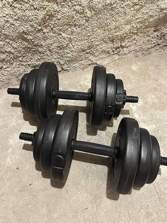 Manubri & Pesi: Haltères réglables avec disques 2x10kg – Usato da Founex venduto da cel_9rqq