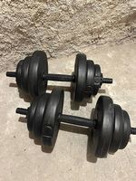 Haltères réglables avec disques 2x10kg