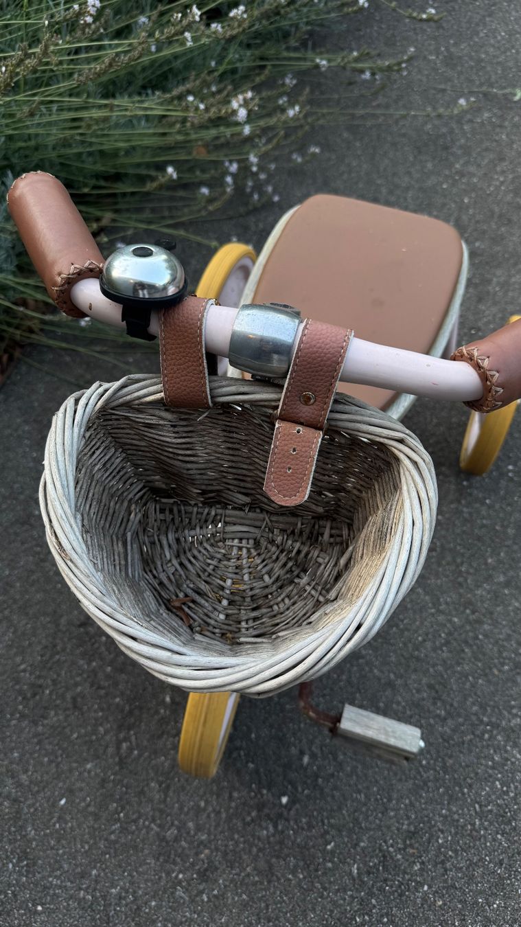 Veicoli per bambini: Kleinkindervelo mit Korb – Usato da Basel venduto da VIO100