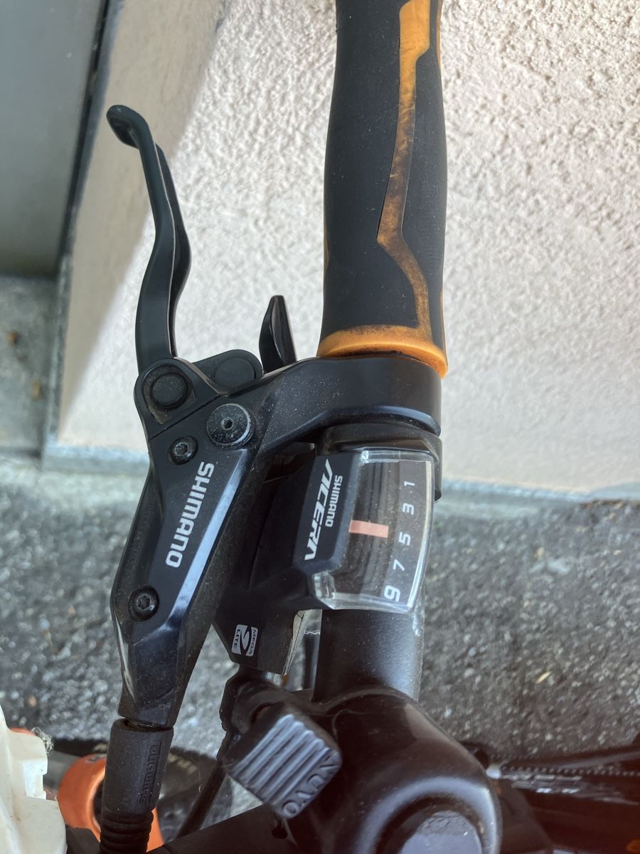 Biciclette: Rex e-Bike 7.8  bergsteiger – Usato da Cureglia venduto da Ottonit 1