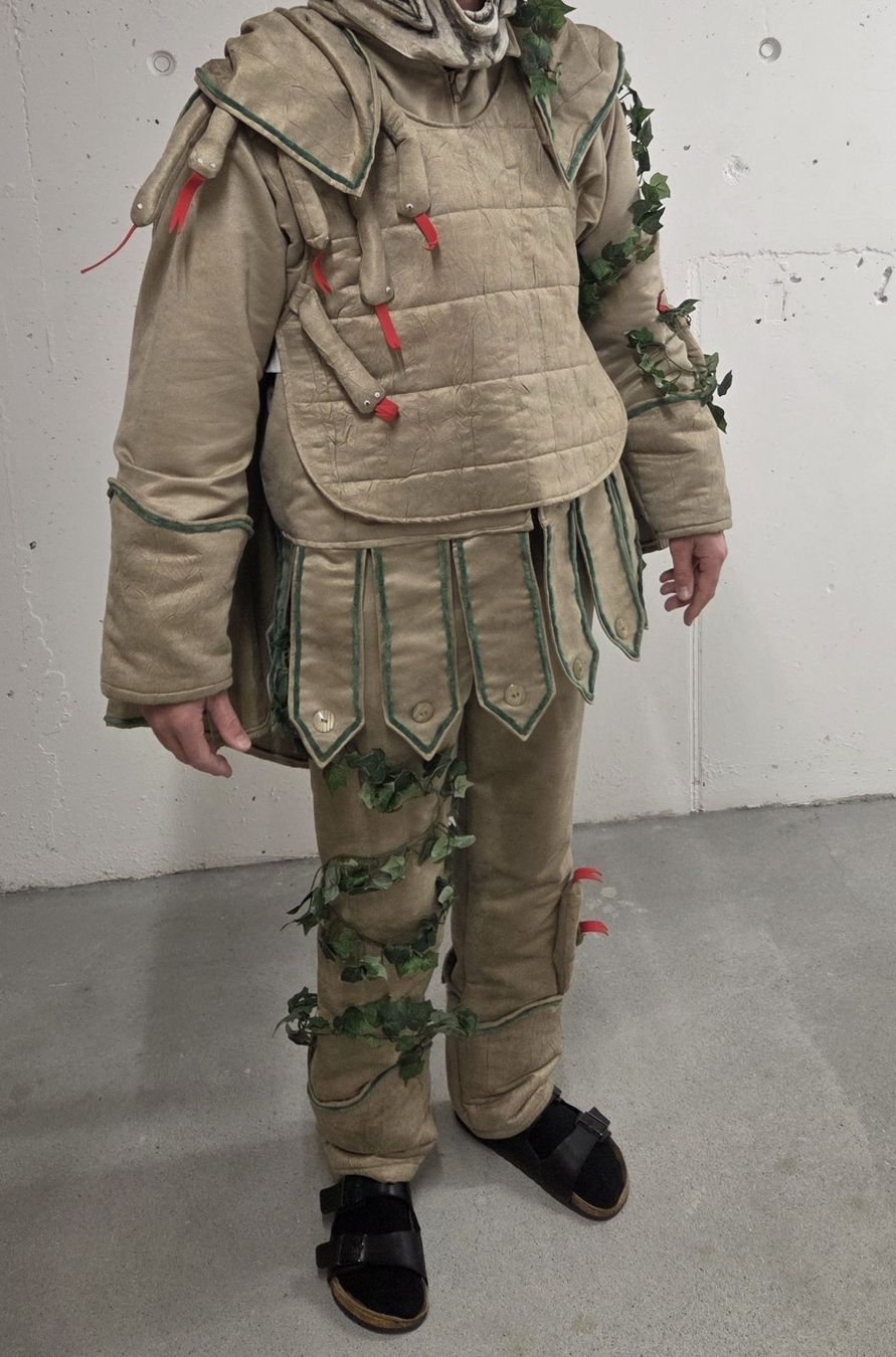 Costumi: Fasnachtskleid "Medusa" – Usato da Luzern venduto da Luha1 1