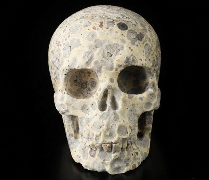Minerali & Pietre curative: Asteroiden Jaspis Skull – Nuovo (secondo la descrizione) da Walenstadt venduto da vkt_qc8d 2