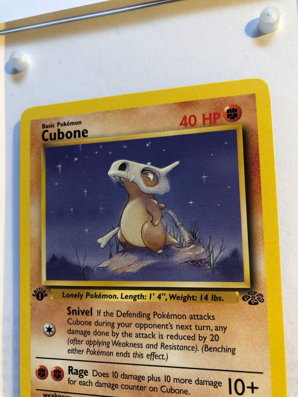 Carte collezionabili: Cubone 1st Jungle - MINT - ab 1.- – Usato da Giubiasco venduto da dan_pr8b 3