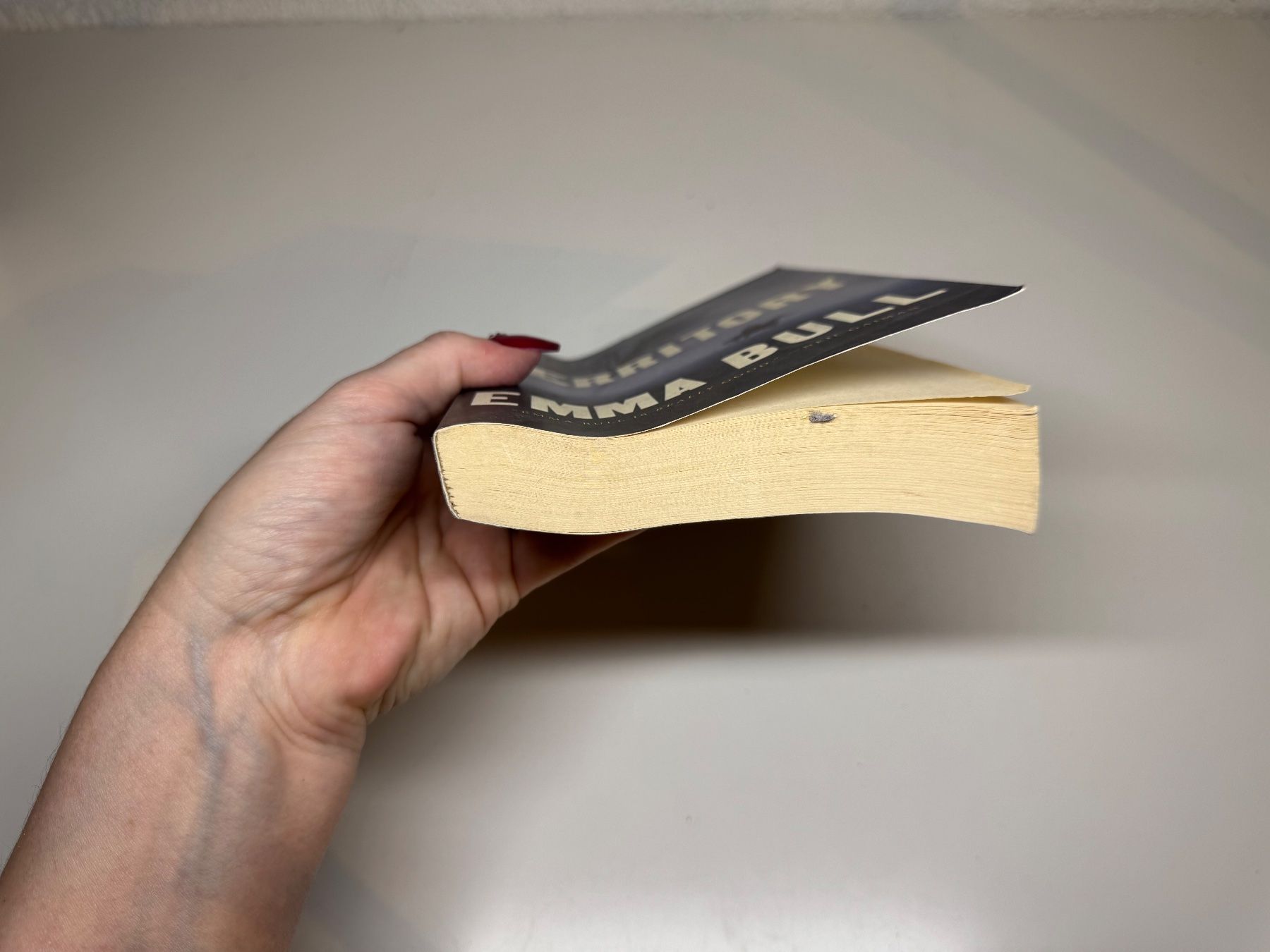 Libri: NOVEL: Emma Bull, Territory – Usato da Grosswangen venduto da English_books 2
