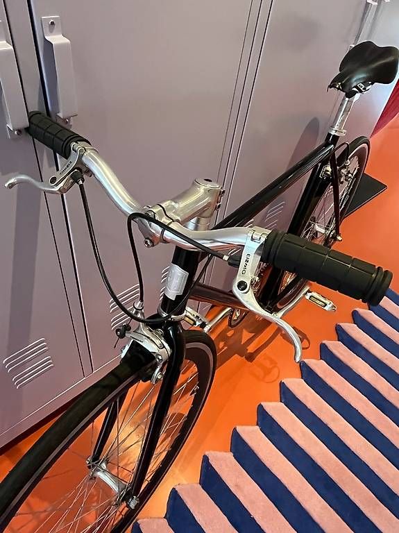 Biciclette: Fixie Singlespeed black (DYB) – Usato da Luzern venduto da Ullamania23 2