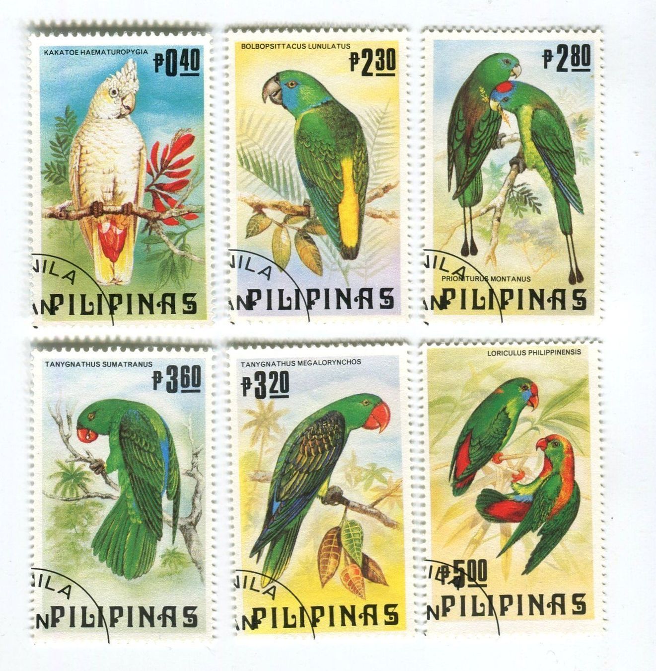 Tutti i francobolli: Briefmarken "Papageien". Philippinen. – Nuovo e nell'imballaggio originale da Basel venduto da Butsch5