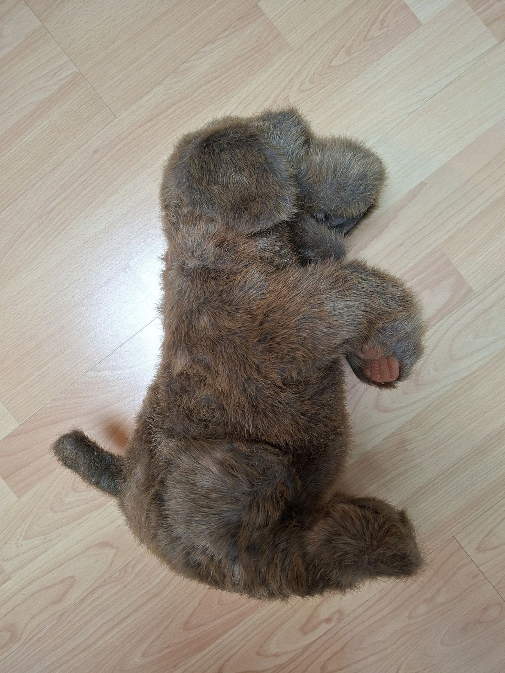 Bambole: Folkmanis Handpuppe "sitzender Hund" – Usato da Bilten venduto da ecobi 2