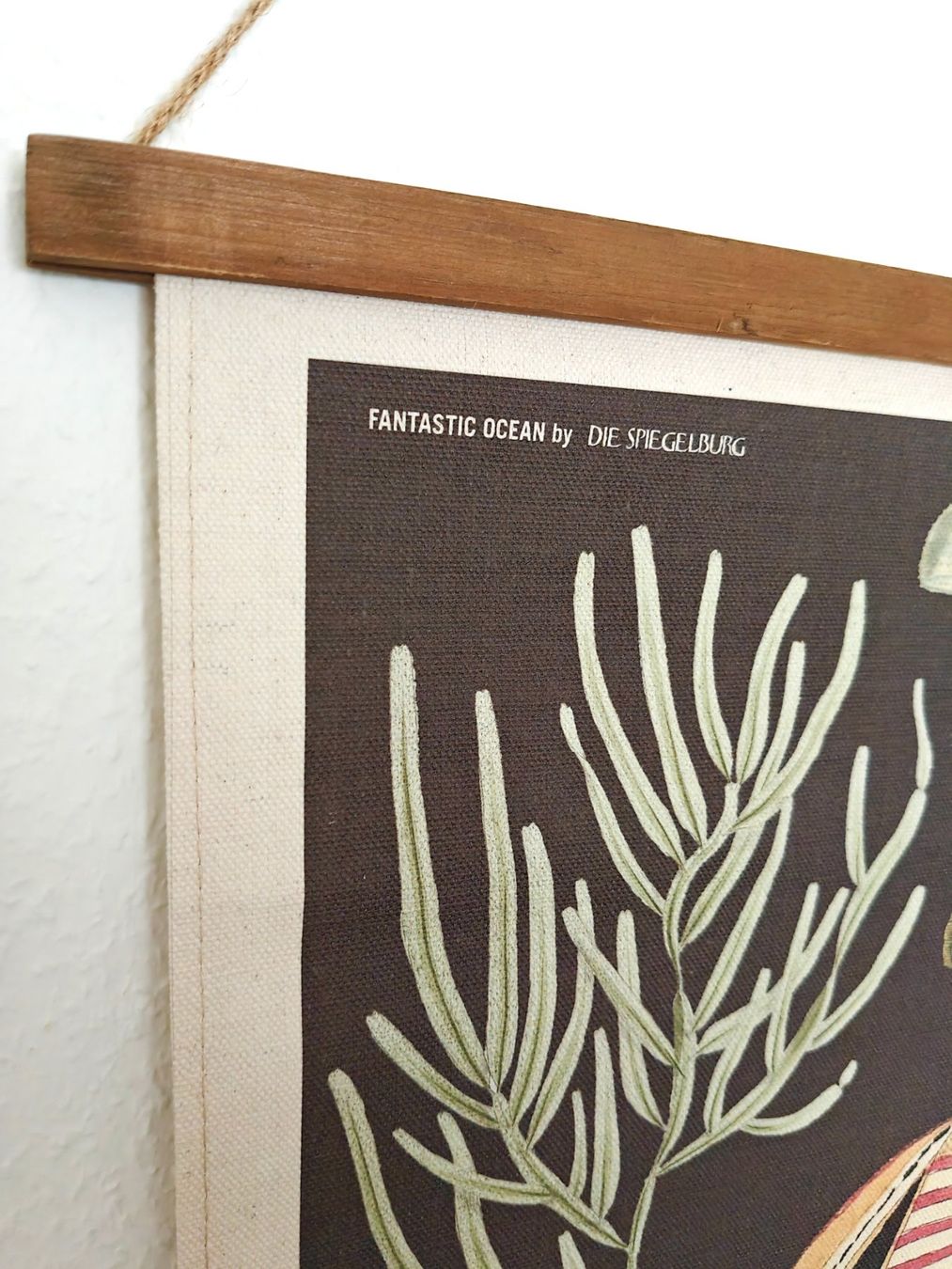 Tutte le decorazioni: Bild Meerestiere & Pflanzen - Posterleiste – Usato da Zürich venduto da syjo33 4