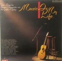 Singer/Songwriter und ihre grossen Erfolge (2 LPs)