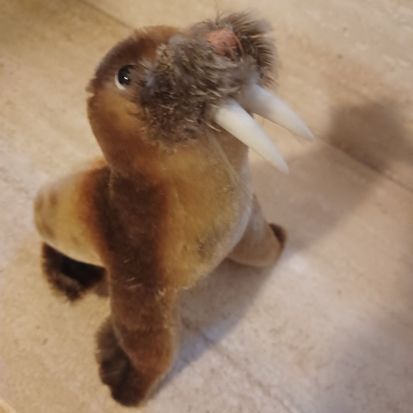 Steiff Giocattoli: Steiff Wallross 18 cm gross um 1960 – Usato da Abtwil SG venduto da luupsy 2