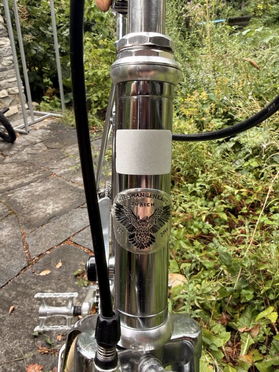 Vélos: Weisswangenkauz Velo – D'occasion à Bern par miirmiir 3