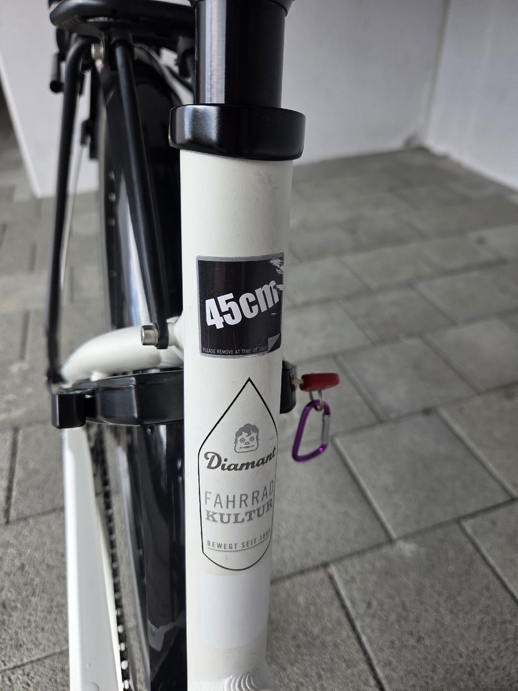 Biciclette: Damenrad - DIAMANT Ubari Sport G45 WT – Usato da Oberkirch LU venduto da Trini04 5