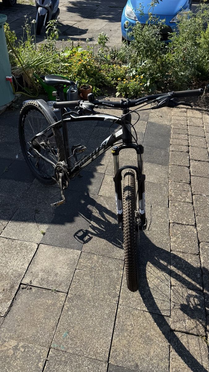 Wheeler Biciclette: Wheeler MTB – Usato da Däniken SO venduto da sunnyresales 1