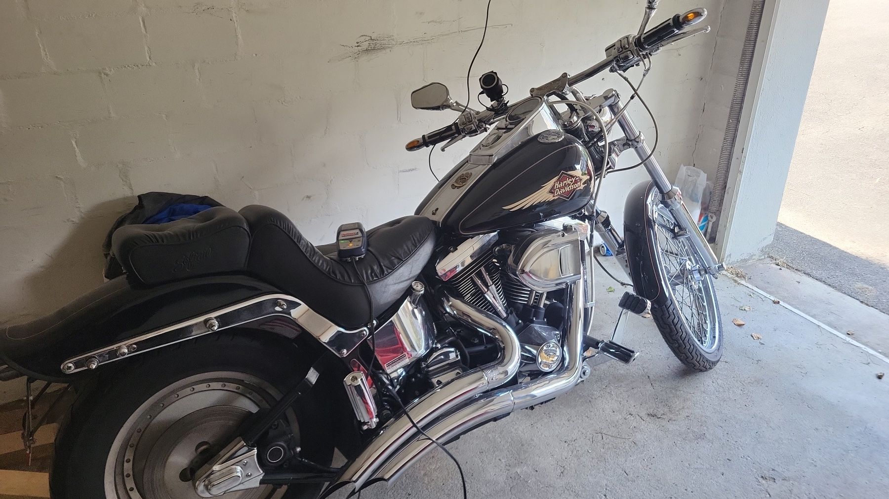 Harley-Davidson Chopper: Harley Davidson softail Fxstc – Usato da Adliswil venduto da Robiiiin