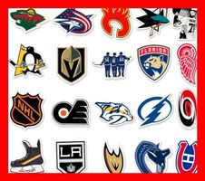 Eishockey NHL Las Vegas Red Wings Teams 50 tlg Stickerset
