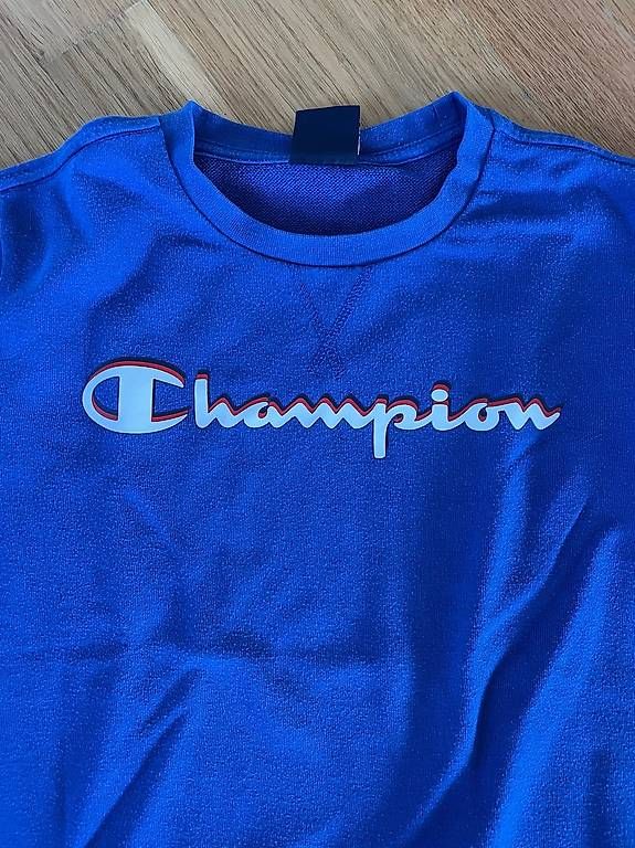 Maglioni & Felpe: Champion Sweatshirt – Usato da Schwyz venduto da dia_wh7n 1