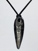 Orthoceras Fossil Anhänger 56mm
