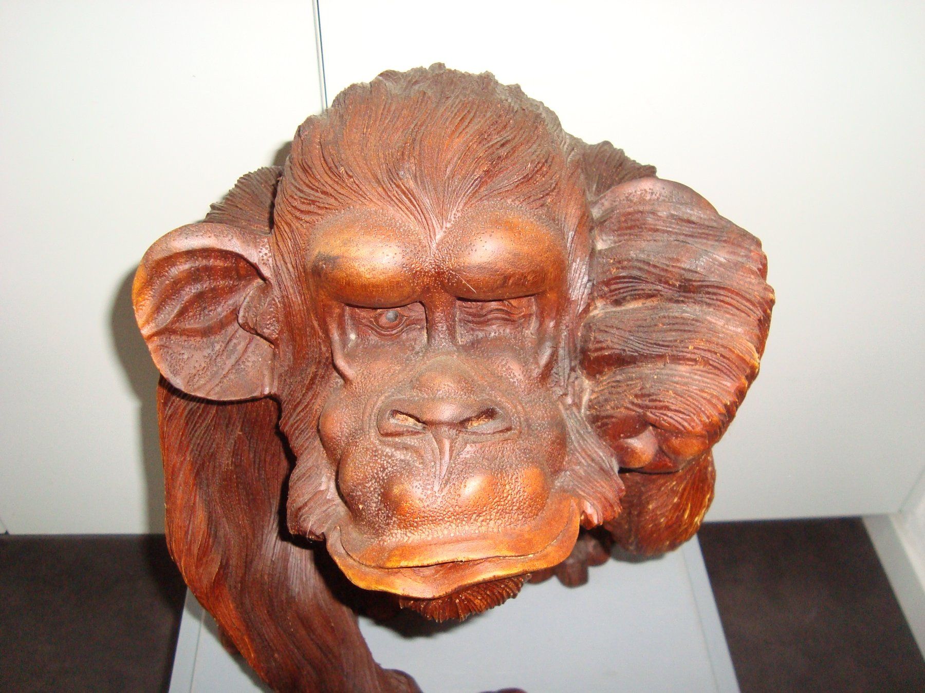 Figurines: Gorilla – D'occasion à Walzenhausen par Totenkopf0 4