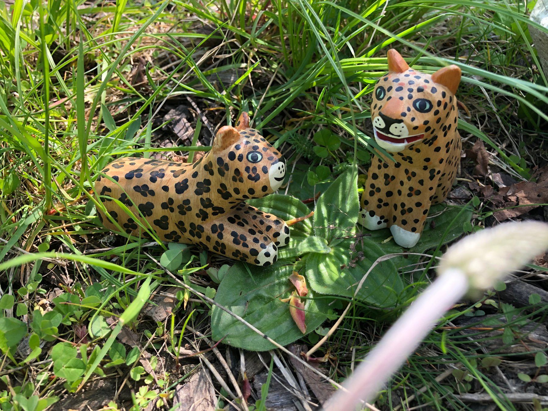 Giocattoli: Der Zoo ist los – Usato da Zürich venduto da BLACKDOG8 1