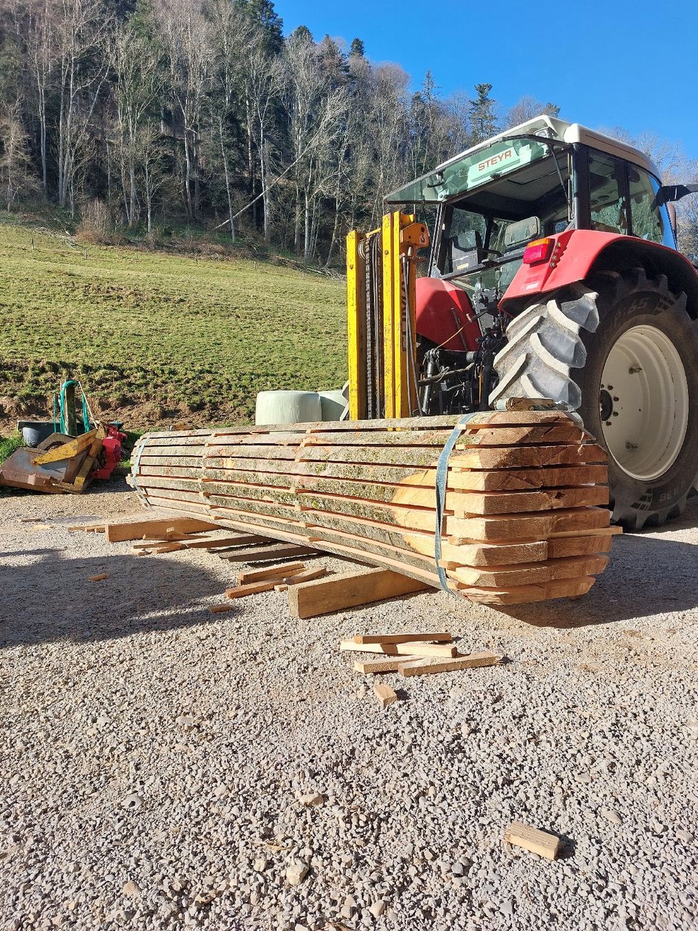Articoli in legno: Buchenbretter – Nuovo (secondo la descrizione) da Bretzwil venduto da AnnenHolz 3