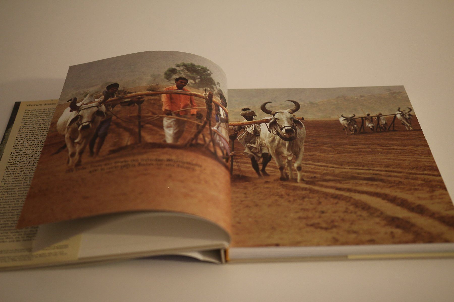 Libri: Indien - Mondo Verlag – Usato da Thalwil venduto da ric_77ts 1