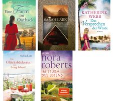 Bücherset (5) in gutem Zustand