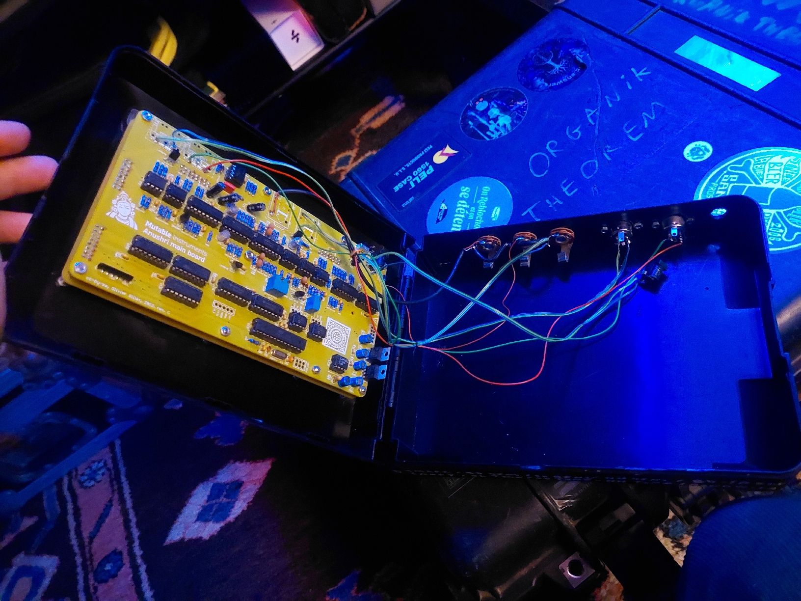 Strumenti musicali: Mutable Instrument Anushri with DIY box – Usato da Courtepin venduto da Organikal 4