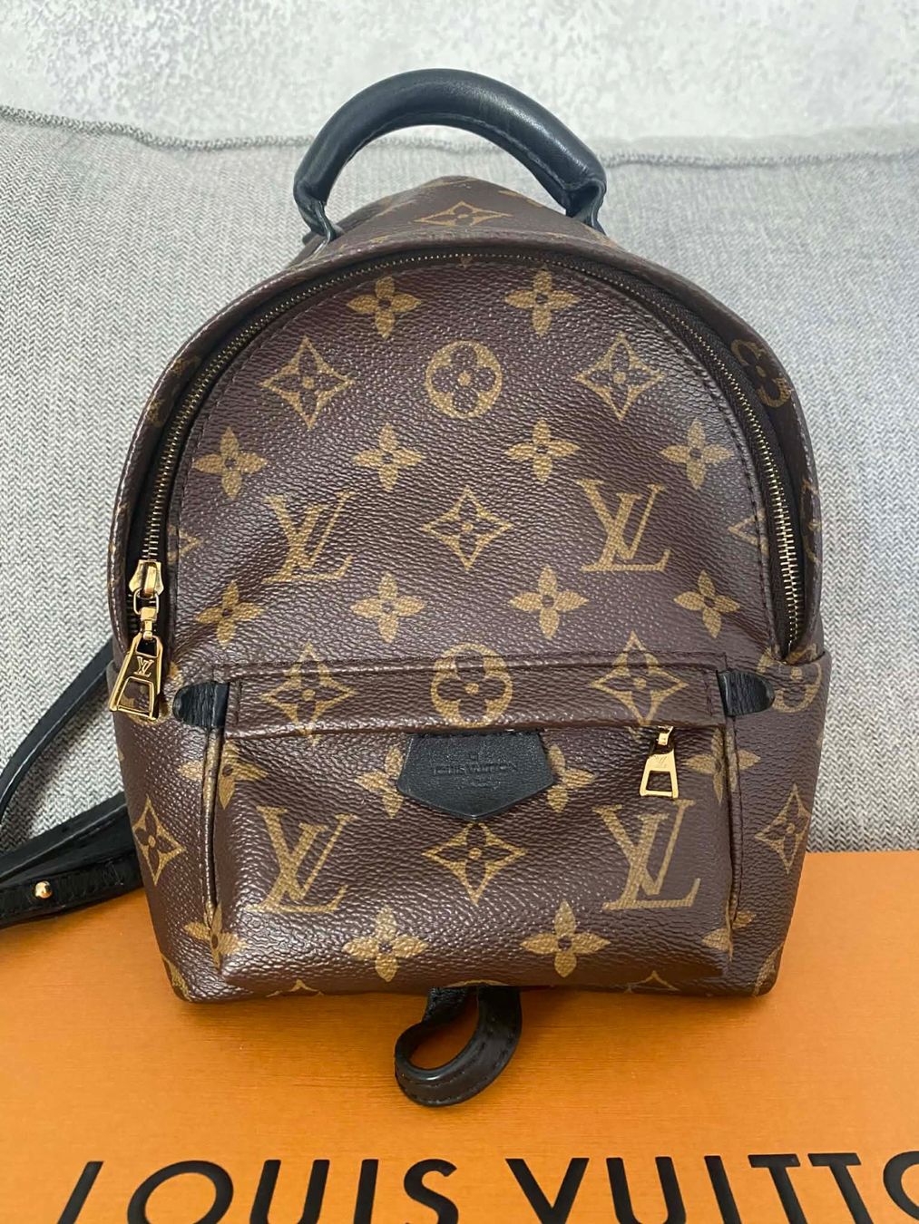 Louis Vuitton Sacs à dos: Louis Vuitton Palm Springs Mini Backpack – D'occasion à Frauenfeld par pau_77qk 3