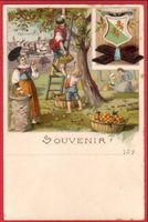 FRAUENFELD LITHO, SUCHARD REKLAME, APFELERNTE, TRACHT