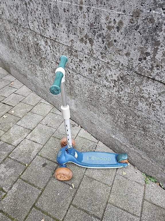 Kickboard: Scooter Trotti – Gebraucht aus Schwyz von Francesca54 1