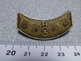 PIN PINS HARLEY DAVIDSON HOG V-TWIN