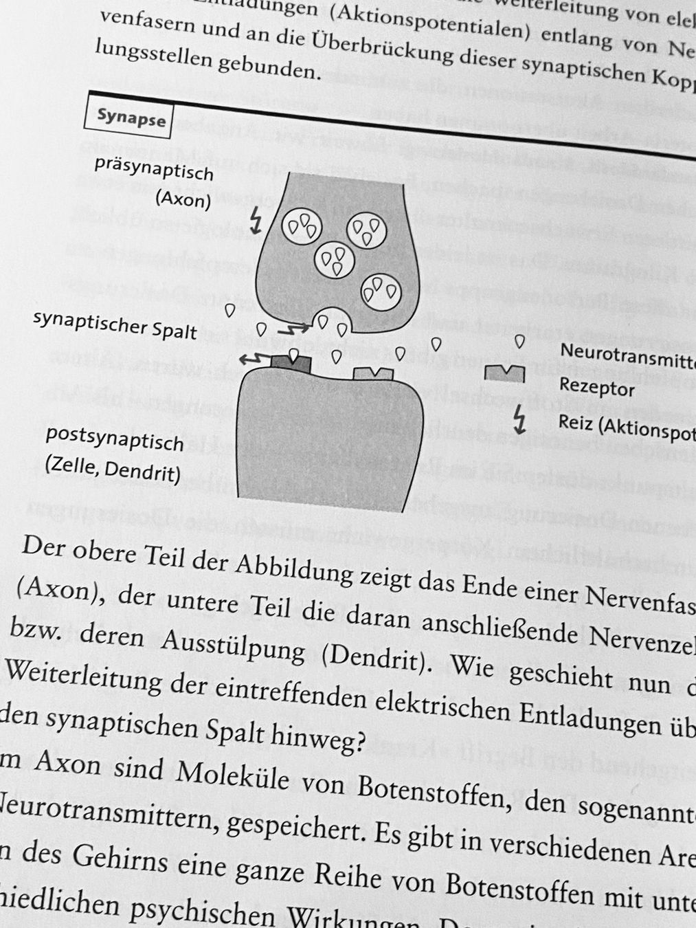 Libri: Umgang mit Psychopharmaka – Nuovo e nell'imballaggio originale da Zuerich venduto da SonderArt-Wertgut 3