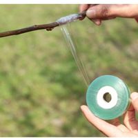 ruban greffage en PVC, 2cm x 200m Pfropfband aus PVC 200m