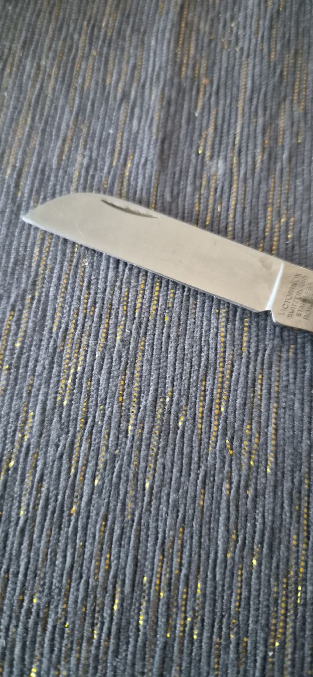 Victorinox Couteaux de poche: Victorinox – D'occasion à Bern par BullseyeCH 2