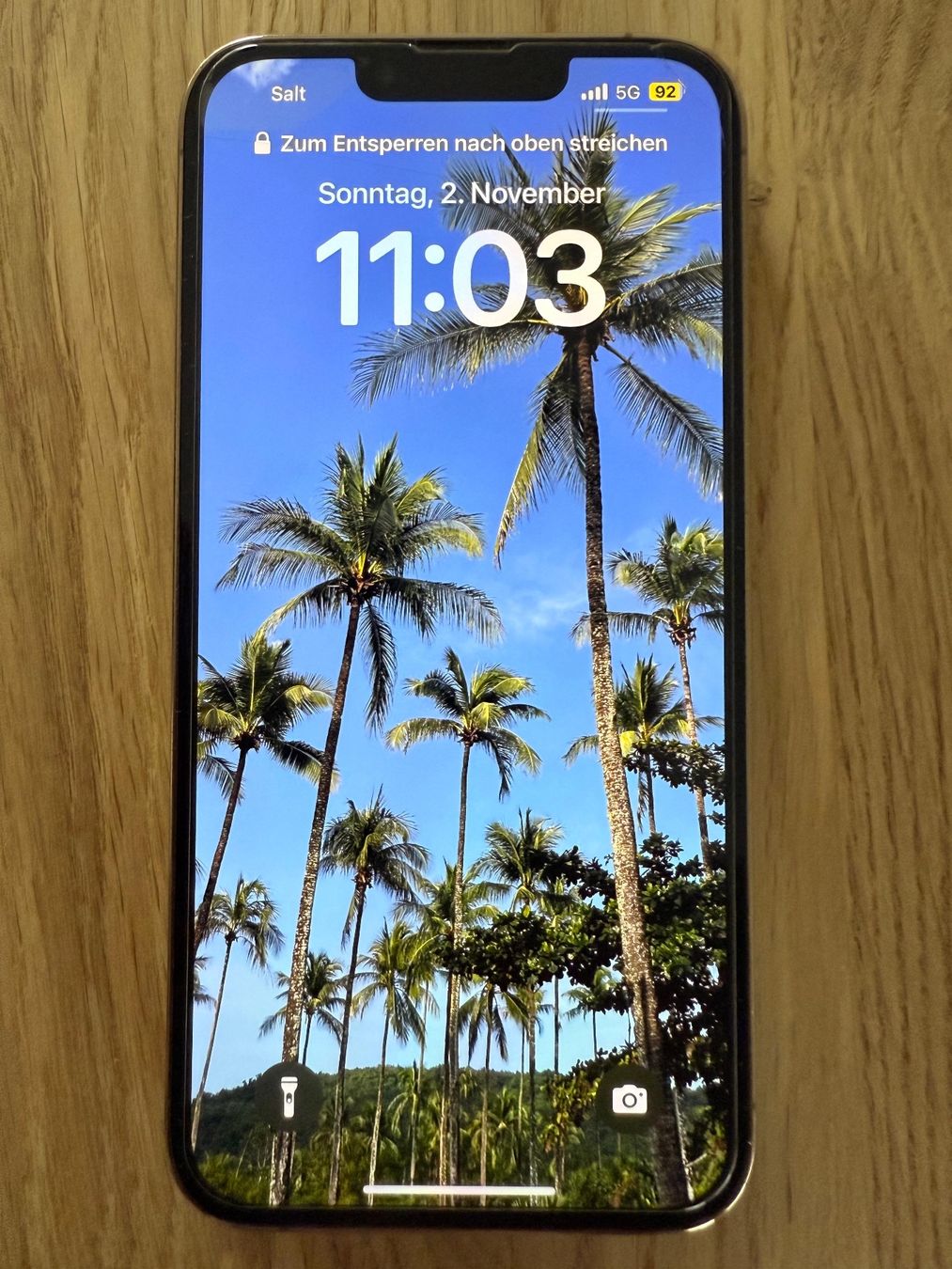 Apple Portables: Iphone 13 Pro – D'occasion à Rüfenacht BE par Sunneblueme999