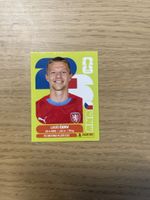 Panini FIFA WC CZE 11
