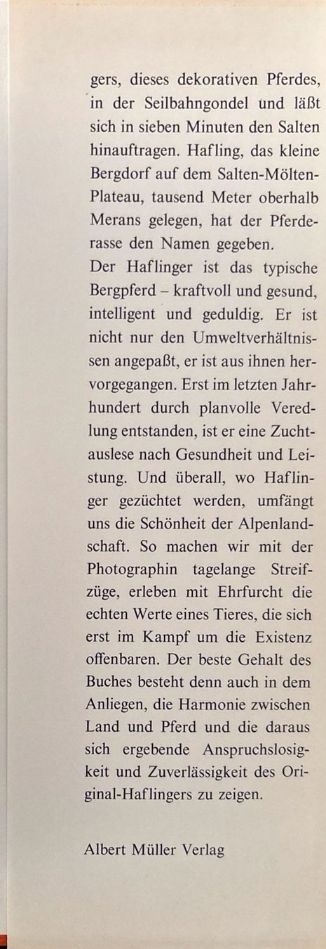 Bücher: Haflinger – Gebraucht aus Sarnen von Livres 3