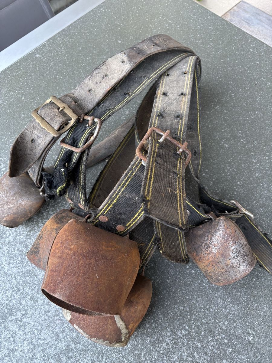 Campanacci mucche: 5 Rindertreicheli – Usato da Schangnau venduto da Roseggli82 2