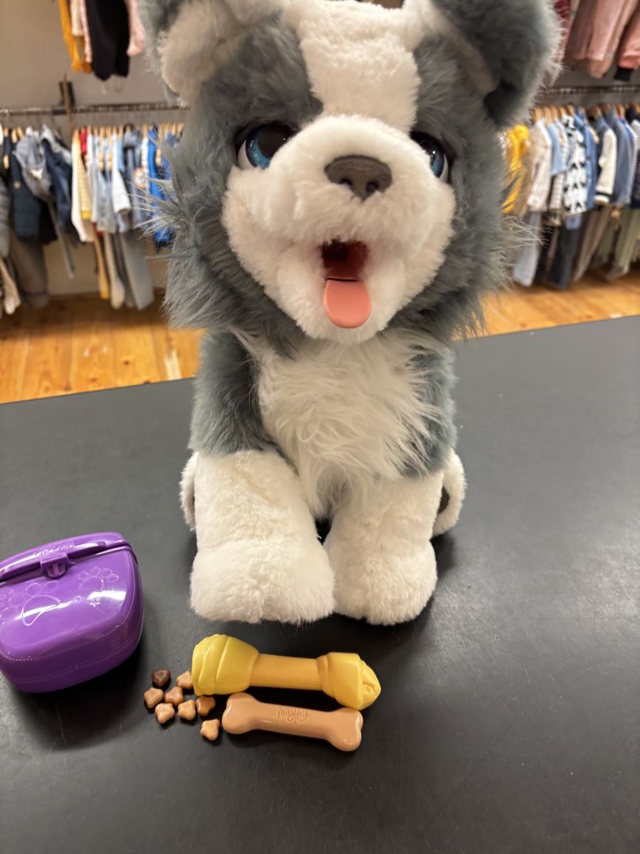 FurReal Giocattoli: Furreal Husky – Usato da Büren an der Aare venduto da Nikito2001 4