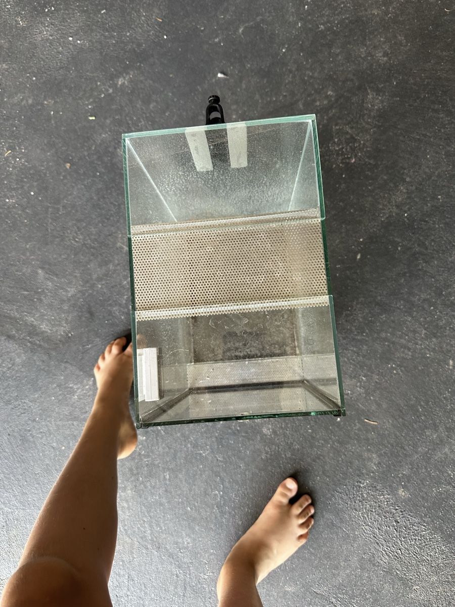 Terrario: Terrarium 30x20x40 – Usato da Oberweningen venduto da bri_mpx2 2