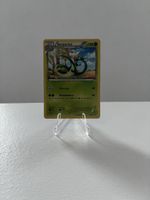 Pokemon karte Serperior 5/114