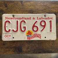 🇨🇦 Autoschild, Newfoundland Labrador CJG 691 - Kanada 