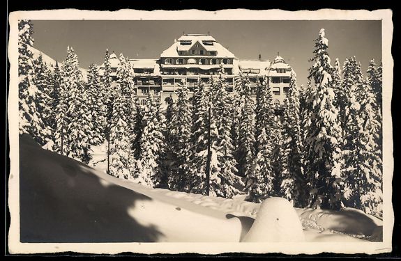 Ansichtskarten: AK Arosa, Waldsanatorium – Gebraucht aus Berlin von bartko-reher