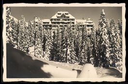 AK Arosa, Waldsanatorium