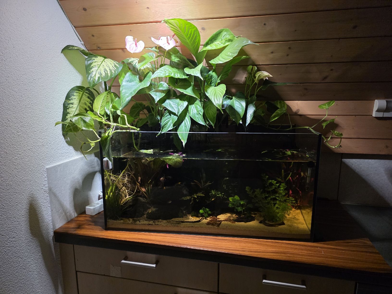 Aquarium: Ökosystem Aquarium 112L  – Neu (gemäss Beschreibung) aus Jens von tra_da87