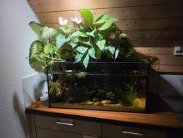 Ökosystem Aquarium 112L 